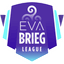 Brieg League